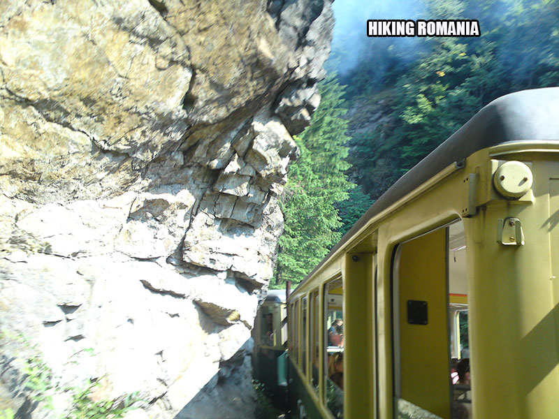 Carpathian forest steam train