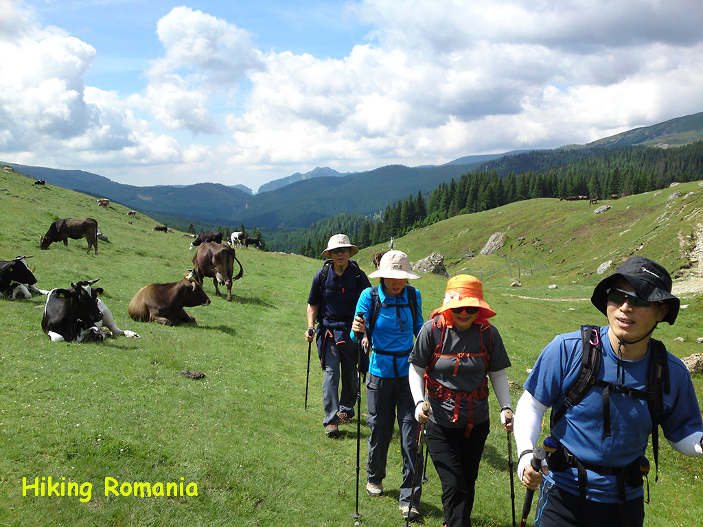 Trekking in Transylvanian mountains Romania